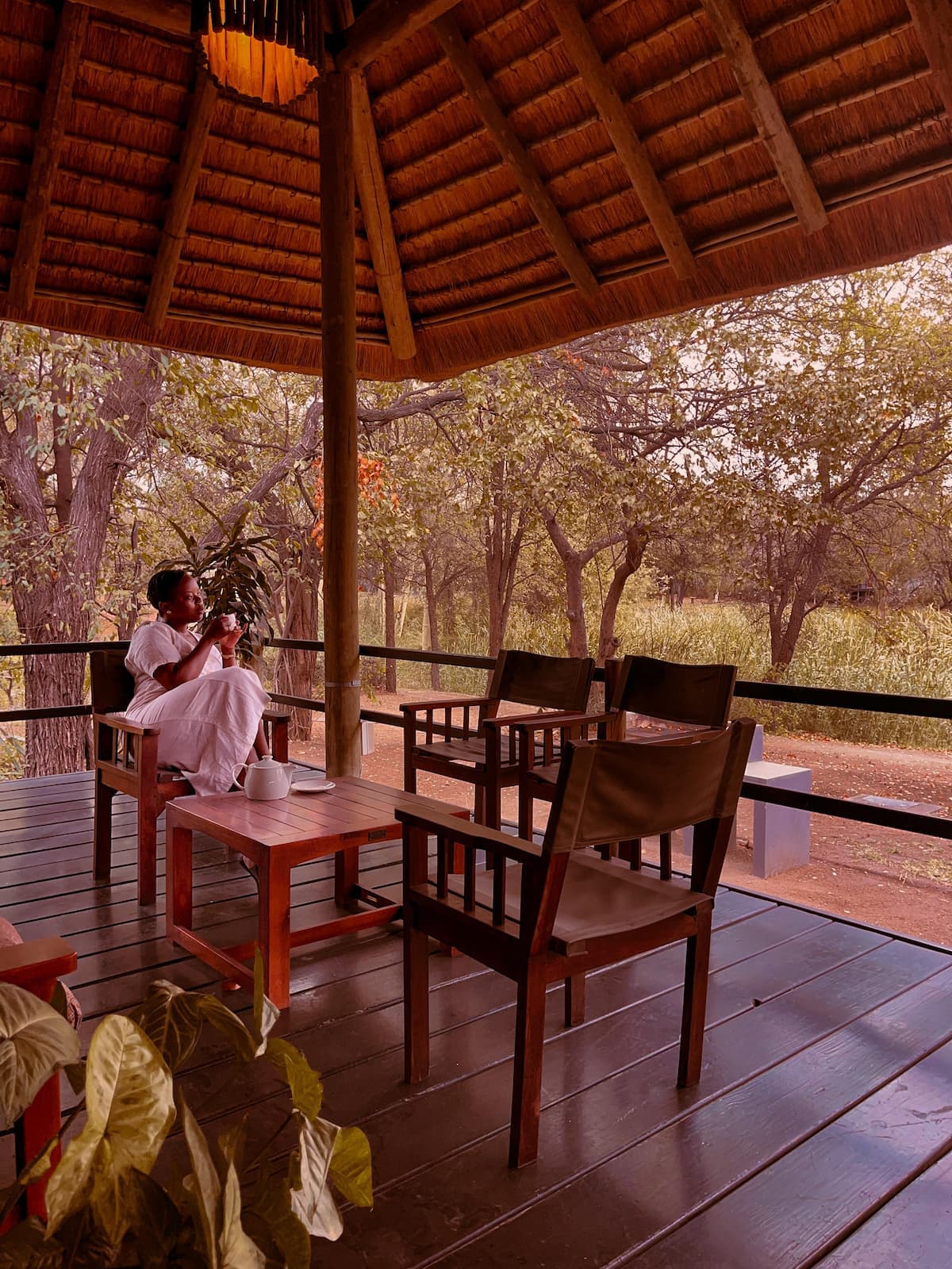 Hébergement Bush Villas